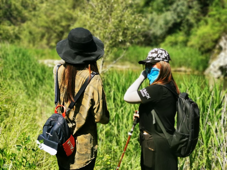 微信图片_20200607142145