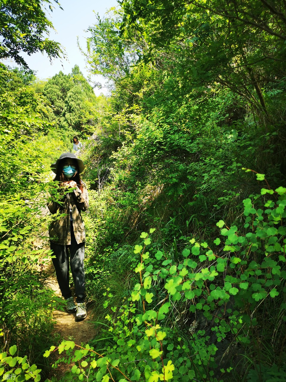 微信图片_20200607142155