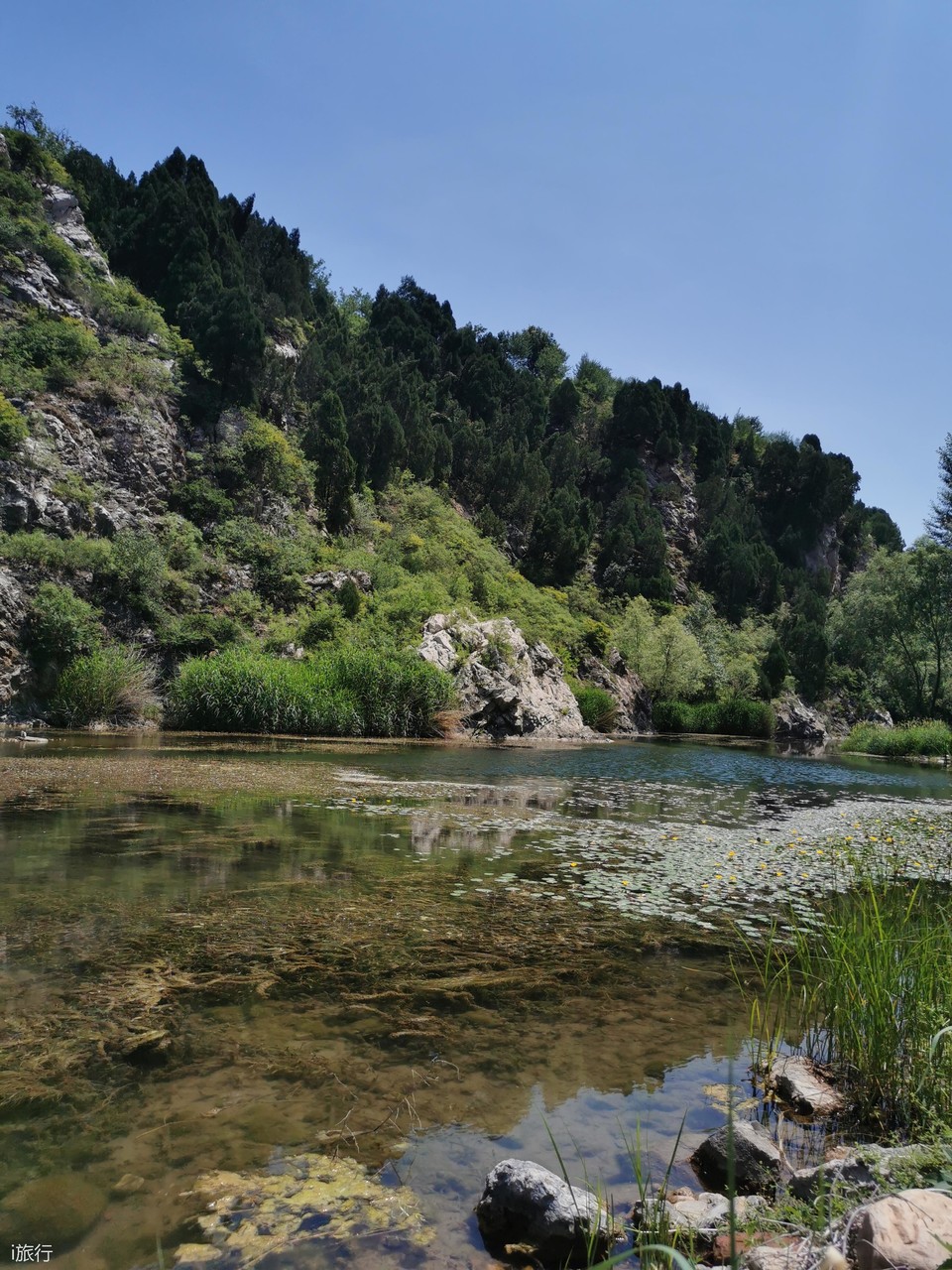 微信图片_20200607142232