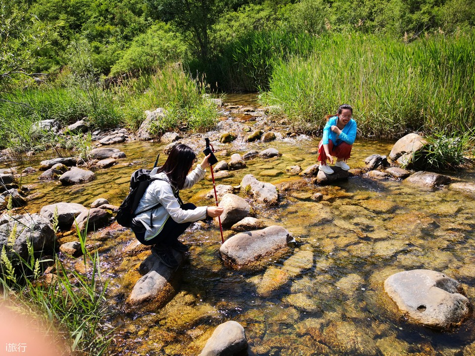 微信图片_20200607142248