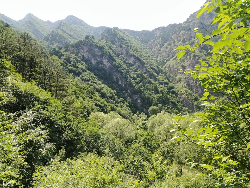 微信图片_20200607142313