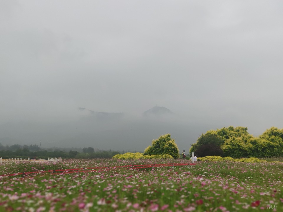 mmexport1593137768291