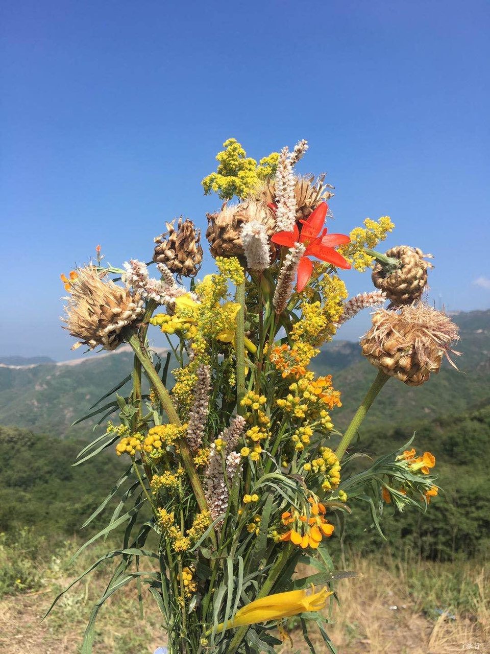 mmexport1593229281991