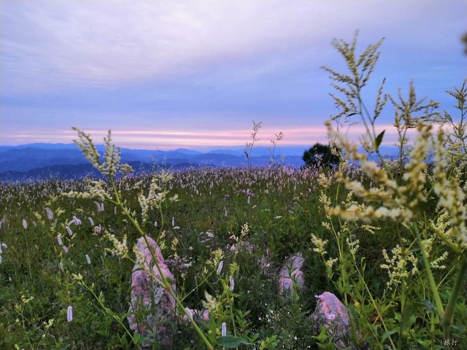 0UrEyYI_K5rKspP8tVN9iIfTX1LRqh5r6P69-zE2gECP7KlFx_U7tZ5WWSb9tQCE