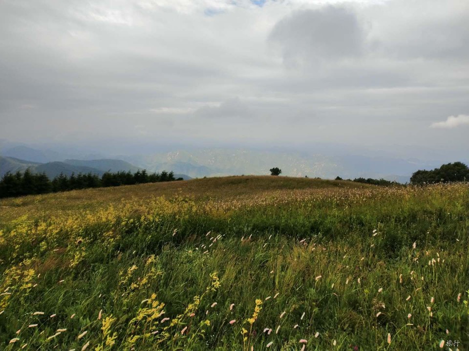 A1BV8j_DlZsjaepcQZBH6ktMiJCjsSpesavfGDDqLQhNS3Hk4oIBDpAtPwwl-SR1