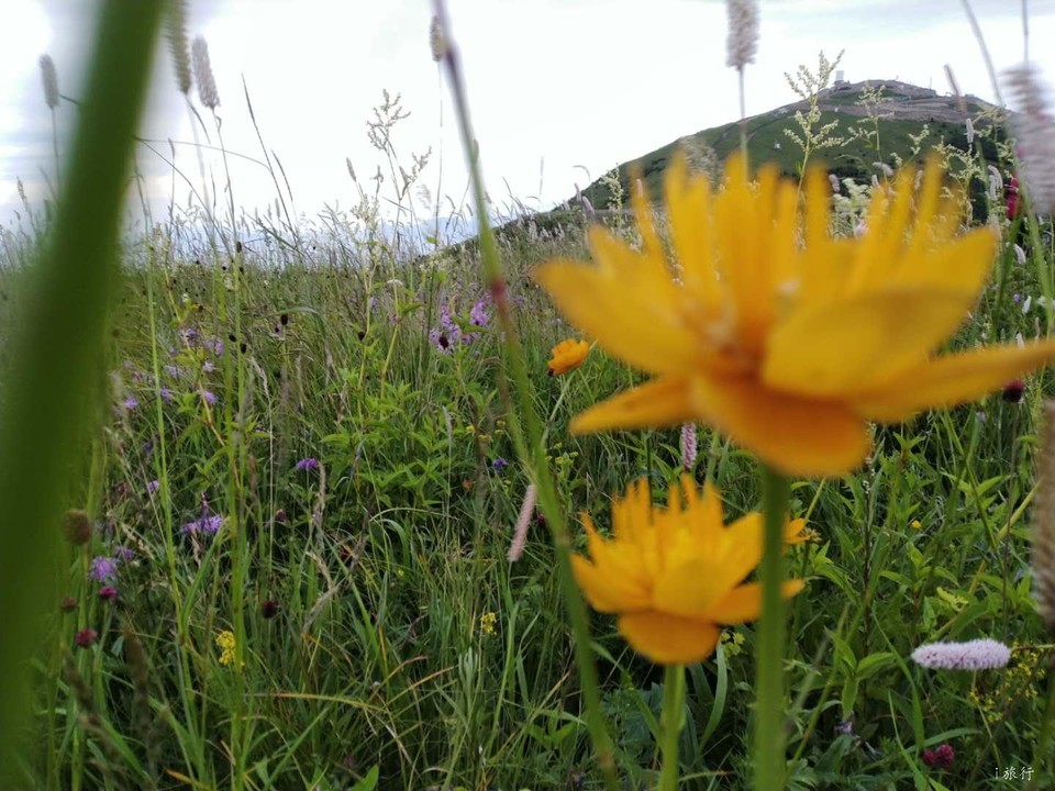 gqsO0oIzL8y7AWsGhLUIp732ozn_GwcoMOndSKEYbUf7JP1jmFfdxd0Wj-U31Rg_