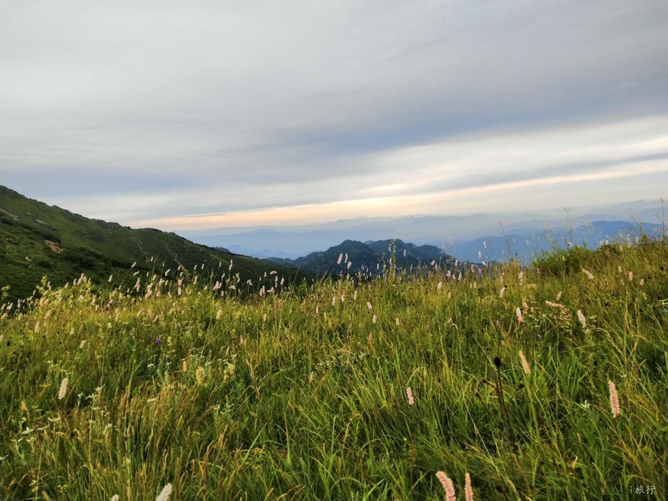 MUSDl-l0r75Szt6gb17soWq0KT4LMOhexndrLFjI0jzrbkDmR5nlKmyThOPOGuEv