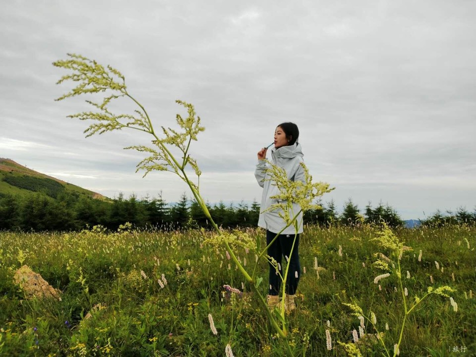 gjtvyzd-fN7pYcTTliRwt1KNw_1b28ZbRCJaZmHjfp-Dv--z-beKLKRtZmNzwaYD