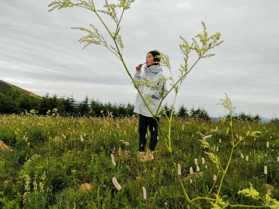 rjkZzvpcV03Q24bKOpFihCg4vYqv1cAGTkcP3zAqlnMlczd4ThF4z9nUSzRwhD6n