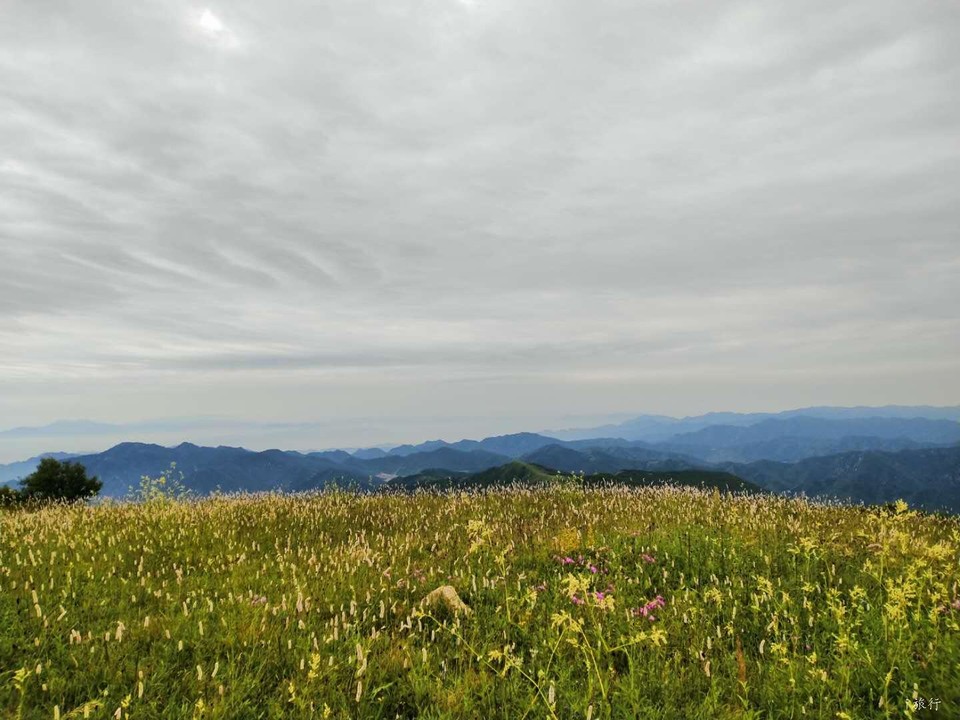 yMQscwmwxq6_3eLLKEytk4yYdrpNMAwsYZh-LC0fSw5jXV9ie4rBNTfmDJtyWbpf