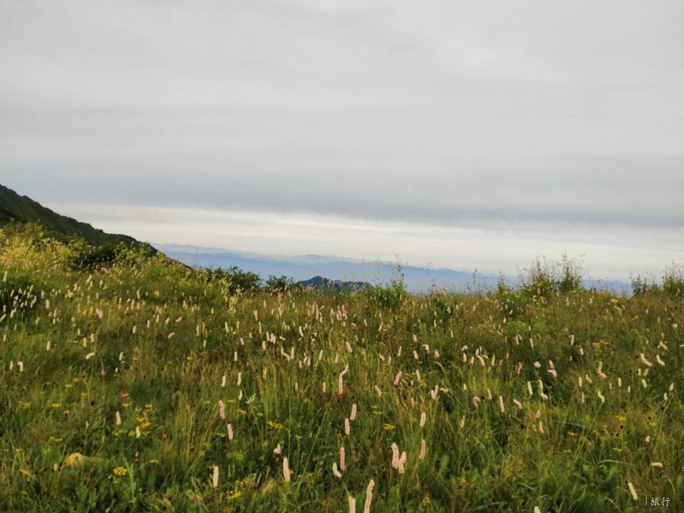 vaaE9c5wvQcLFe9y_w_kaHt6_SIRFsFM23OAU9qM1dDpVxCJ4ijHUPXcT_rhjaOm