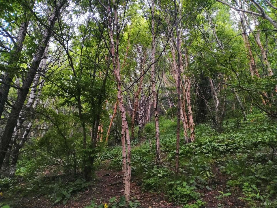 YRh0KWVhJKDO3uoaV9P0gThYyI9mZgB9GyBlGZwg-TOCoBQAxrLnj6qkFvSJLiyH