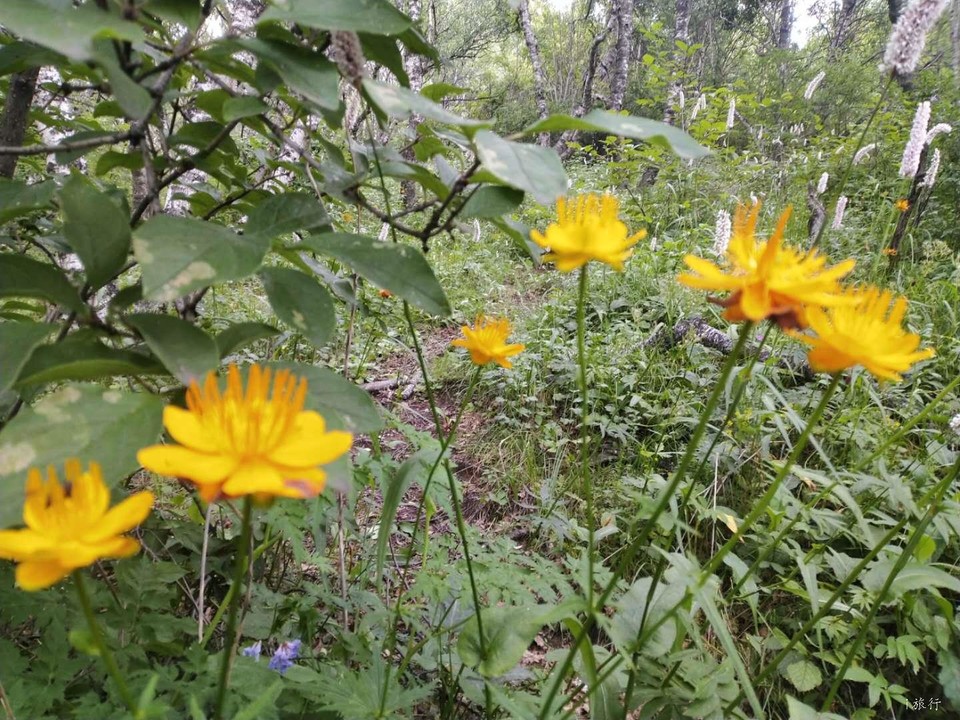 mqrVdhEwA64S_a6ruUhMjXDMoCgT_WmAYIjhmp9s1TYKsHe17hEt_0KMQRw70rYN