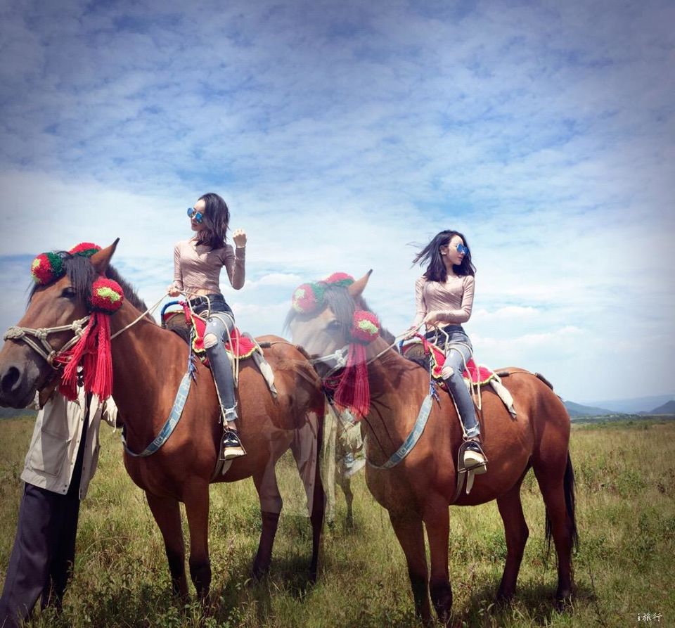 6e6d552b86c211229219df5da5be4214