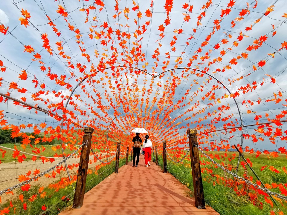 微信图片_20190803204100