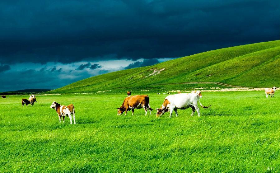 微信图片_20200609133745