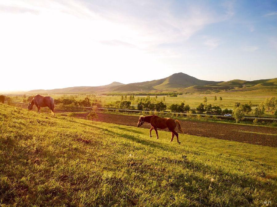 微信图片_20200609133833