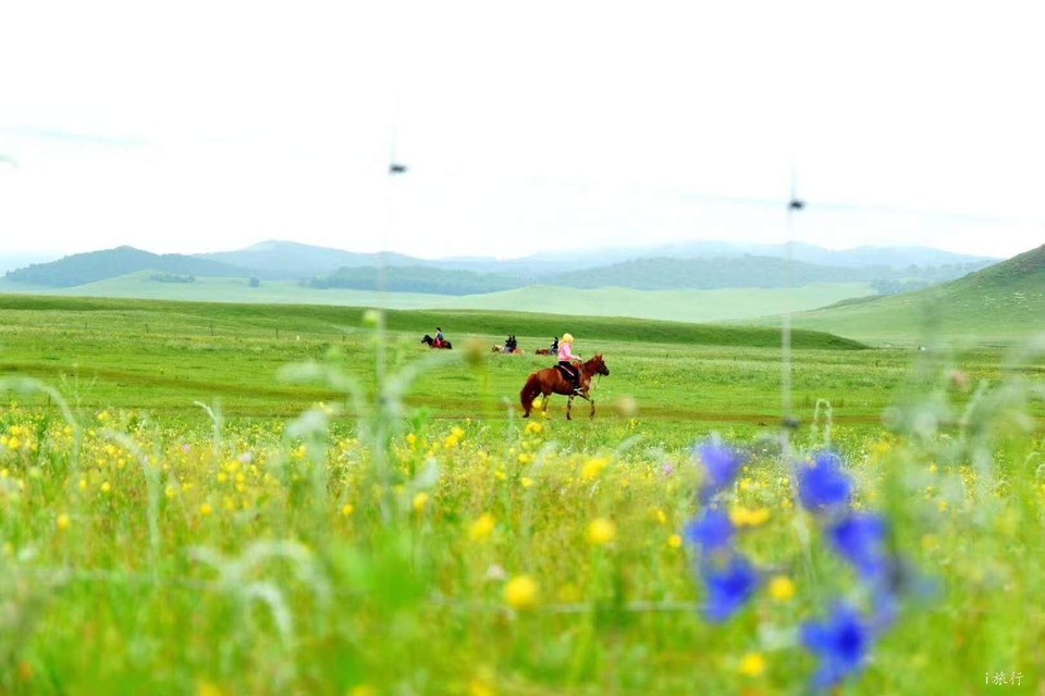 NIm_le0tywlB_o0KOgtNHGp1dqsLpWtUfgKnQF7YGAWrVNHaZDQZqNCpQMPRKF7E