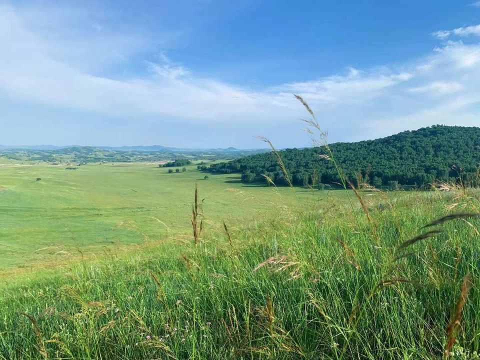 -yTvWsRjhFBiGbn8rUh8ardLk71a9Wj7khOLCpoEqal1uEoy928uzQK51ZYANvWM