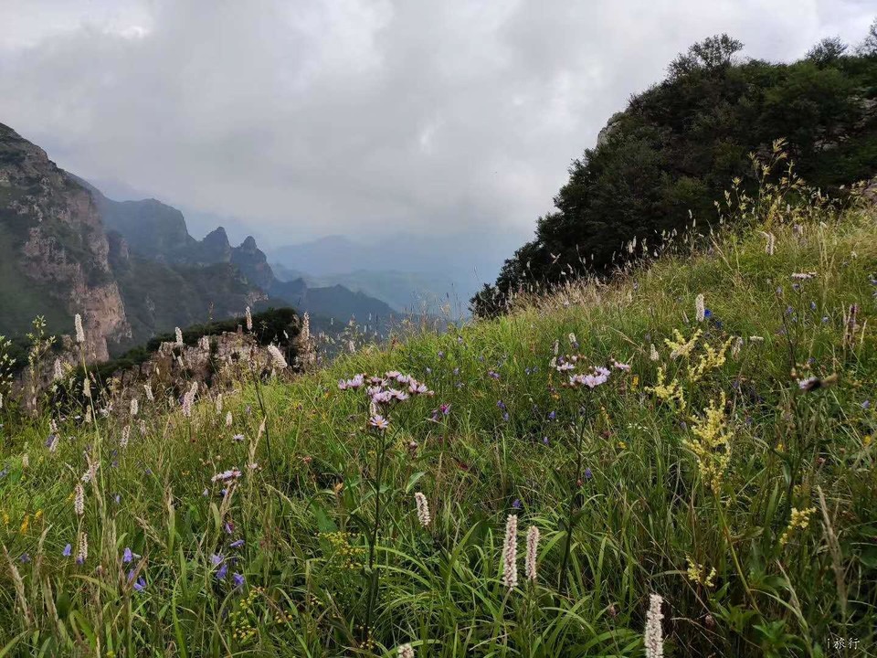 55rRHCKVn8hZdj_tCTQv4DN_m3YTU4CvyO93vpnbesU3BOUE9EYGlH5TPxgDhXs8