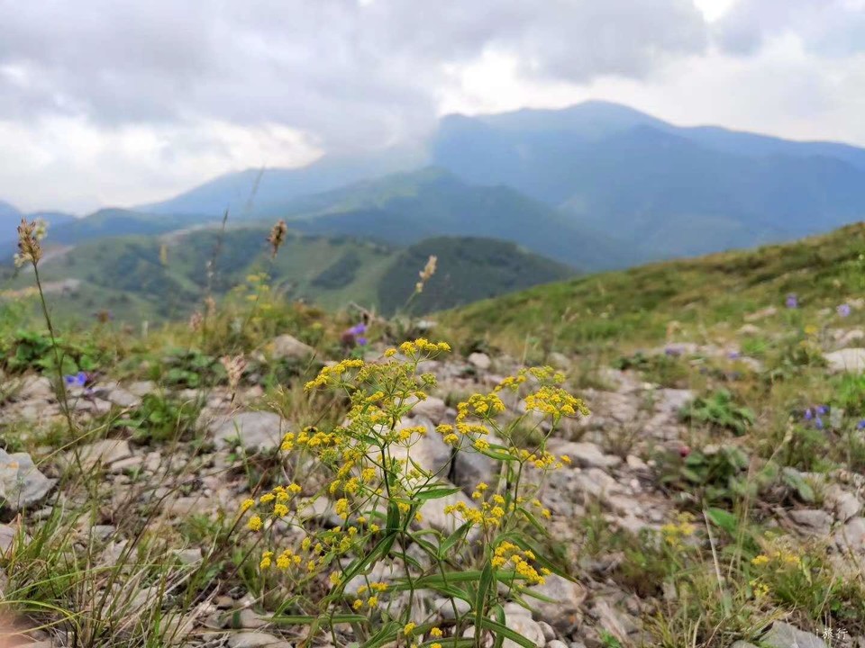 A7OQ8ZJhmBmB2KiAU8c4M1PHzAAzSf0vYW8zEzmu59p-gbGnI94dbAVViBfxbln_