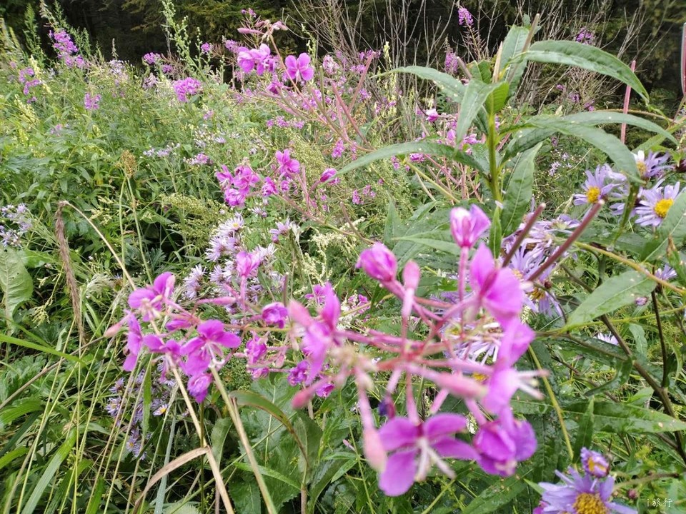 EjUOu25POFRiQVBv52o-yEfp8ix1TfZRuI7-uGW4vCMpTf3c2oV_a8GmCXDbsjd5