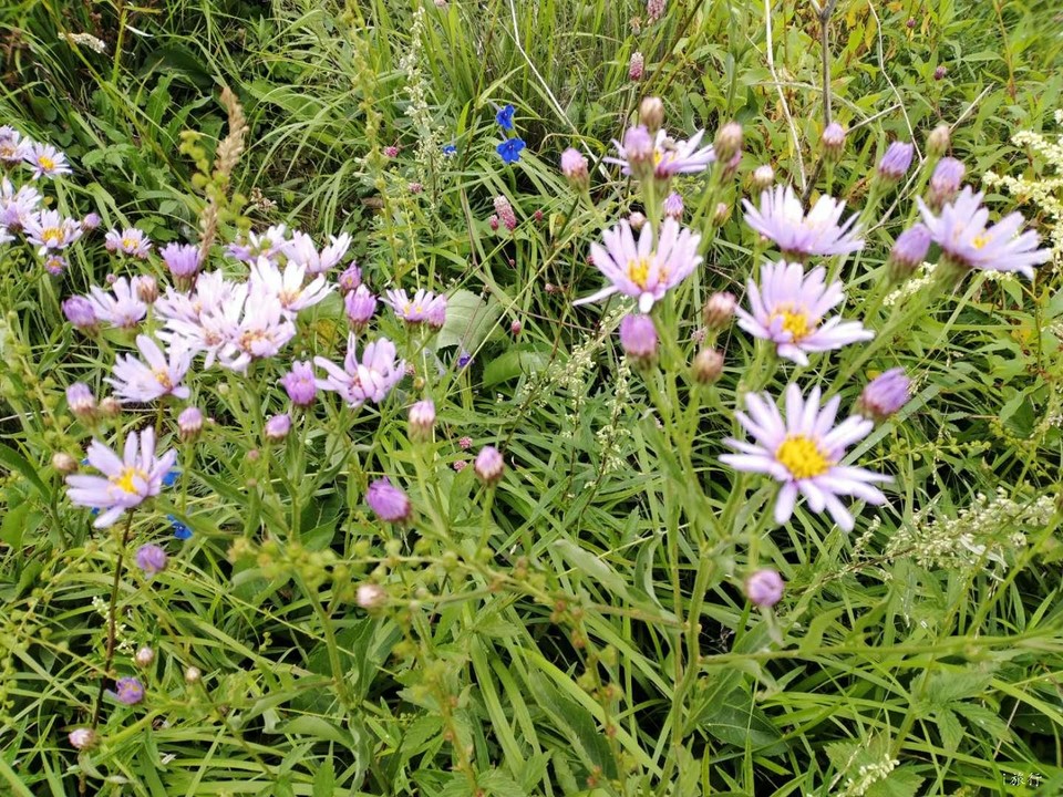 TcVRVGcMcWSM4r5M9toNSzlPorlW--_vl5PAs3_TK_QQXW8cdW_TSjS-QzHnZ_xE