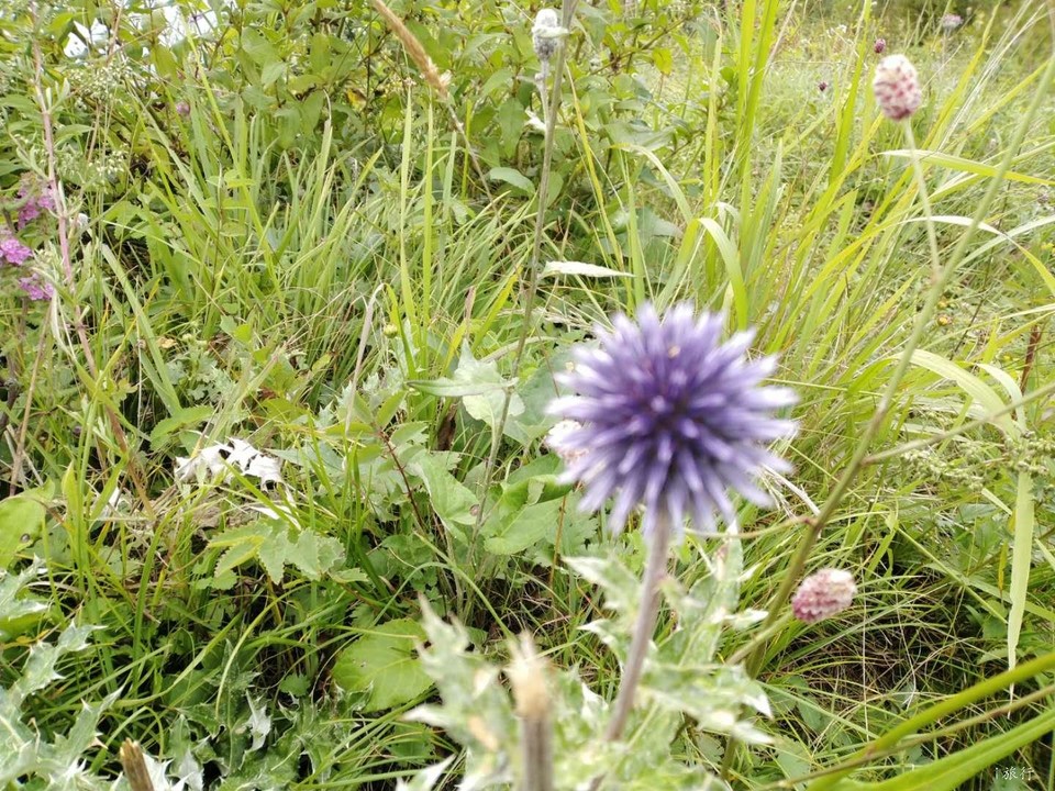 qrRWjtWT5Y3ZpLbauDEGeFaMUcxwJ8P0aVoCqyLvJP8c91SZVTppMhuggmYALeM6