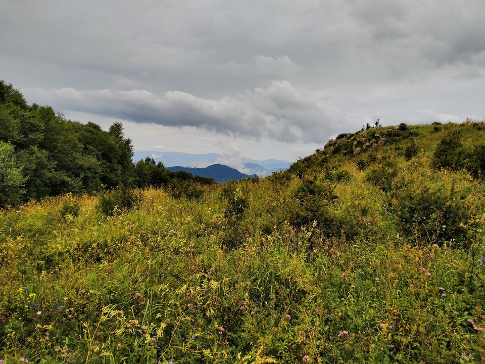 suY4NQAIDneCOPT-X5JXs5dJxHrdjHhJ3eBlVc_Zj9m3pQb0IS8tV1iahYeYebUp