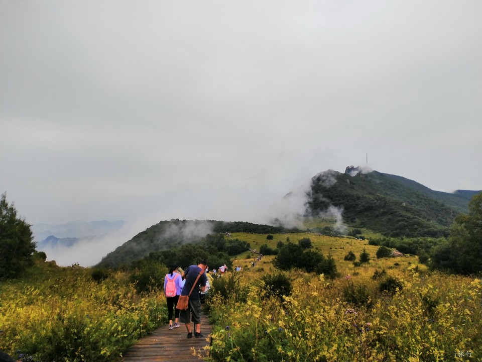 mfZjeFC3hb_EllGsq95X8ZKF_g_ccOAH49eRTe_jT9Yr90hyJju6NZlipdLZPNLo