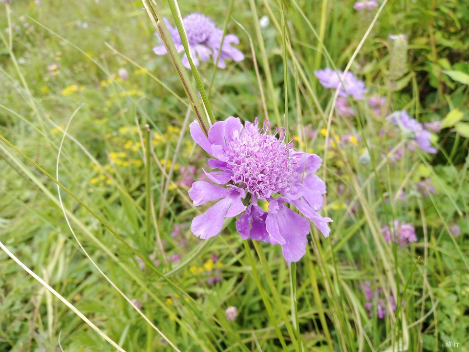 fkEeKpEXxHEaypU9sUAR78bxq9xdlBMyDvQyS8mYxPFdXF05NY-DfplPddbH-TiN