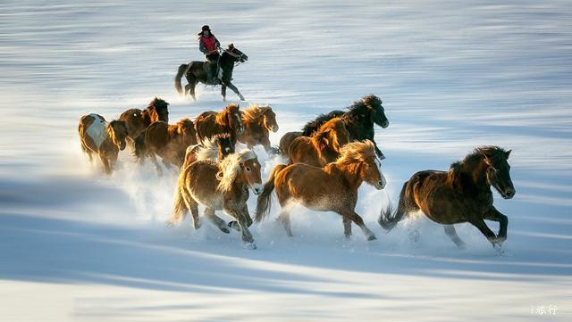 41510818609929_article4