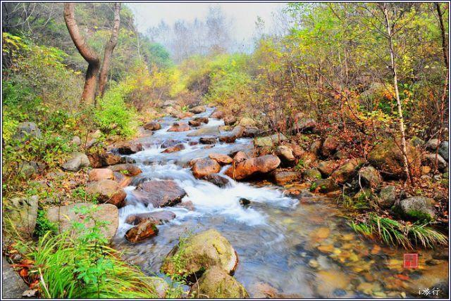 微信图片_20200422110325