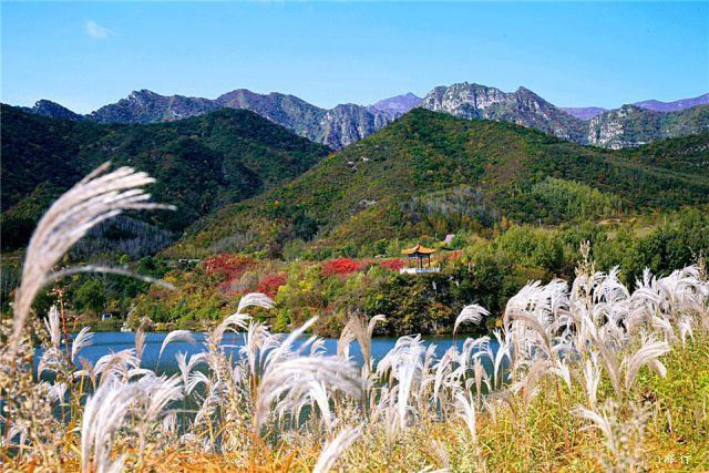 微信图片_20200422110330