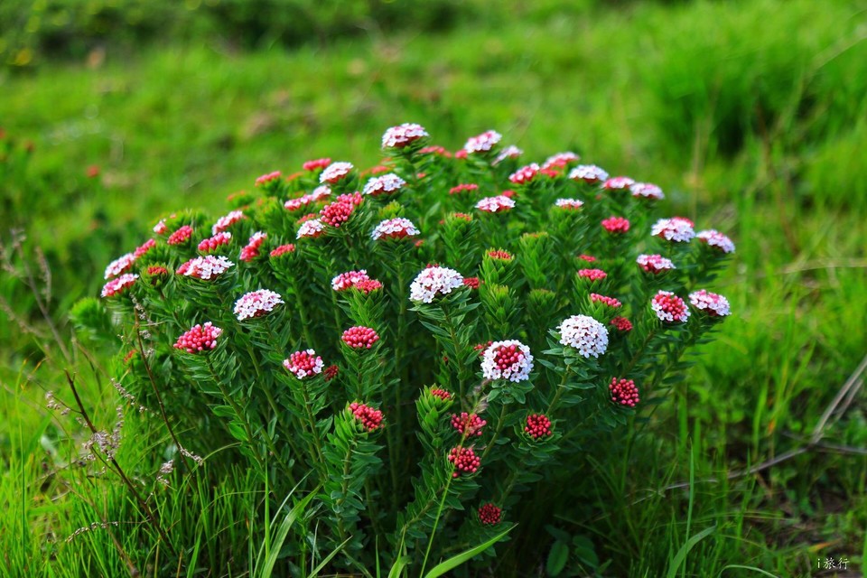 微信图片_20200706224716