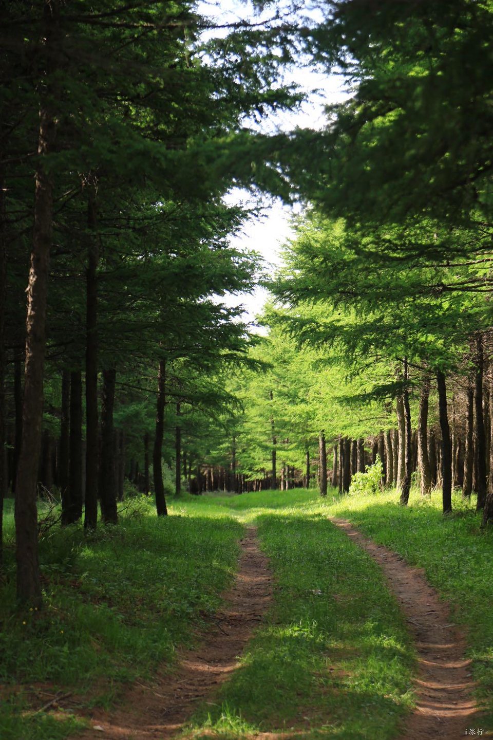 微信图片_20200706224801