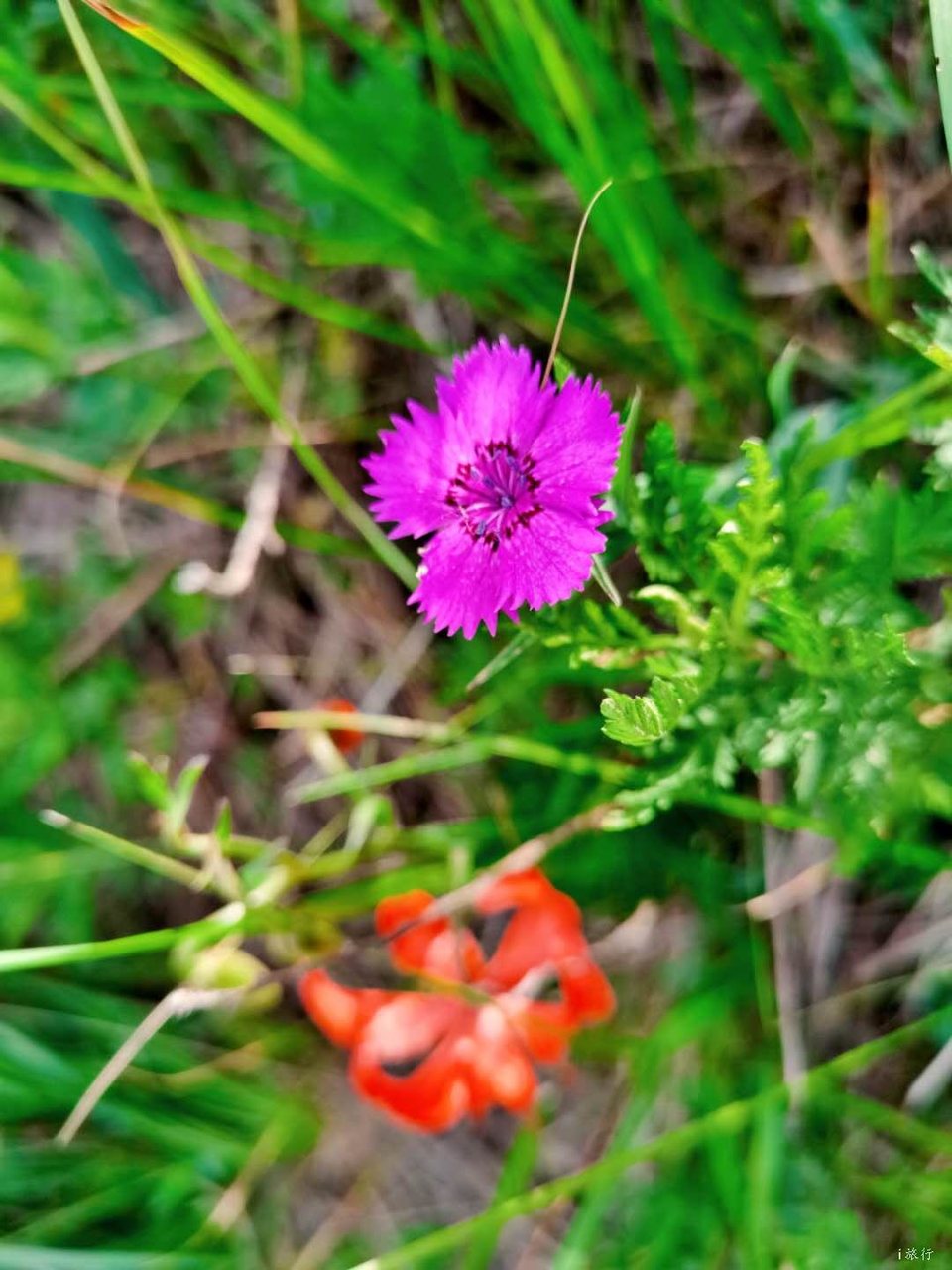 微信图片_20200710220841