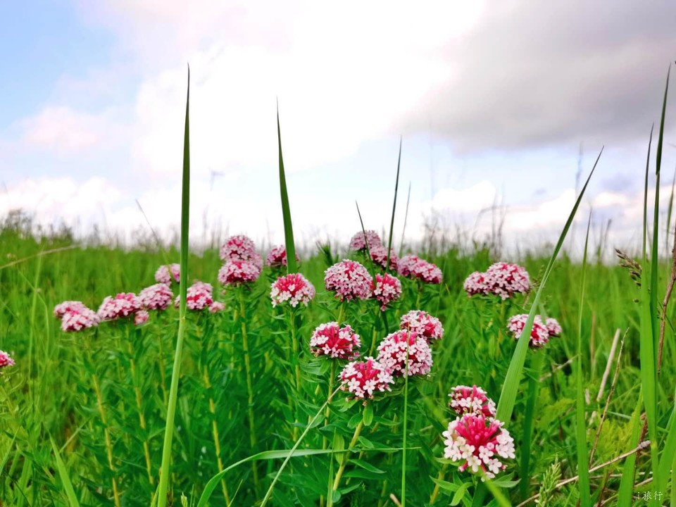 微信图片_20200710220845