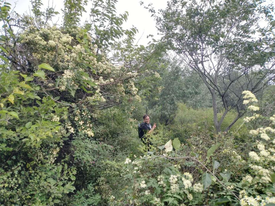 UWoNuWvD5os4mDPSyECllRg4BzX4hQenEb0LhSetap3ccYVSqgc0ICRHXLDZ_Pe1