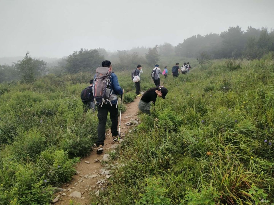 1MS71mdzaF4jKavkQl-Aa-T8M9QxbXd-ZoAIGJ3JWTCfCEJ-tgjsiCk4y0lLOZWF