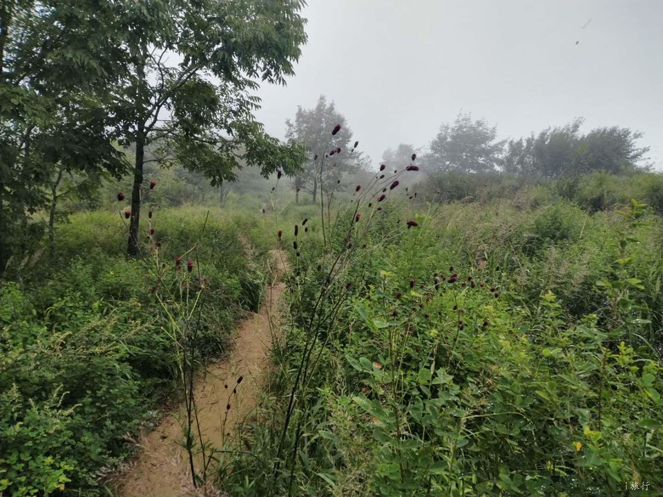 uCW0h-zj-v6h8A7nH46M4TBikJ0f3uPJtttYkt2nTxvxJoPE1WDgM9EGB5fK0wPs