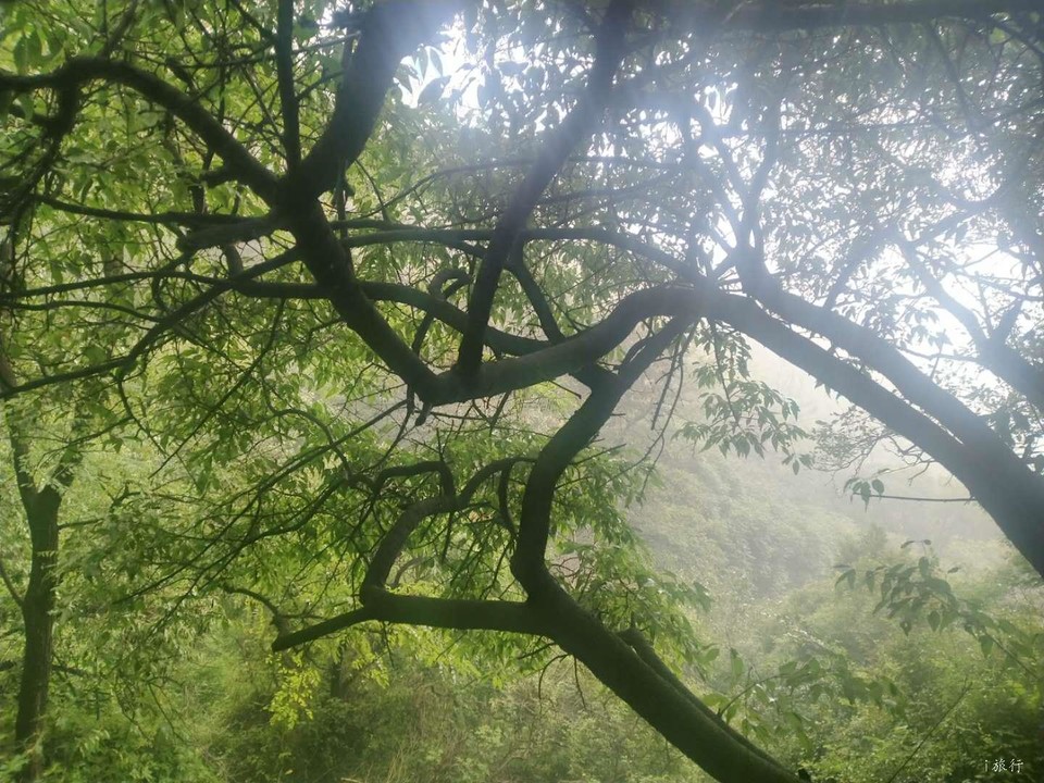 d-fa0vCfLCDjb_8US3IIY_H56R3QfWaXHaekSbT8F8wgGWRDid1wFvTTGhT85_4H