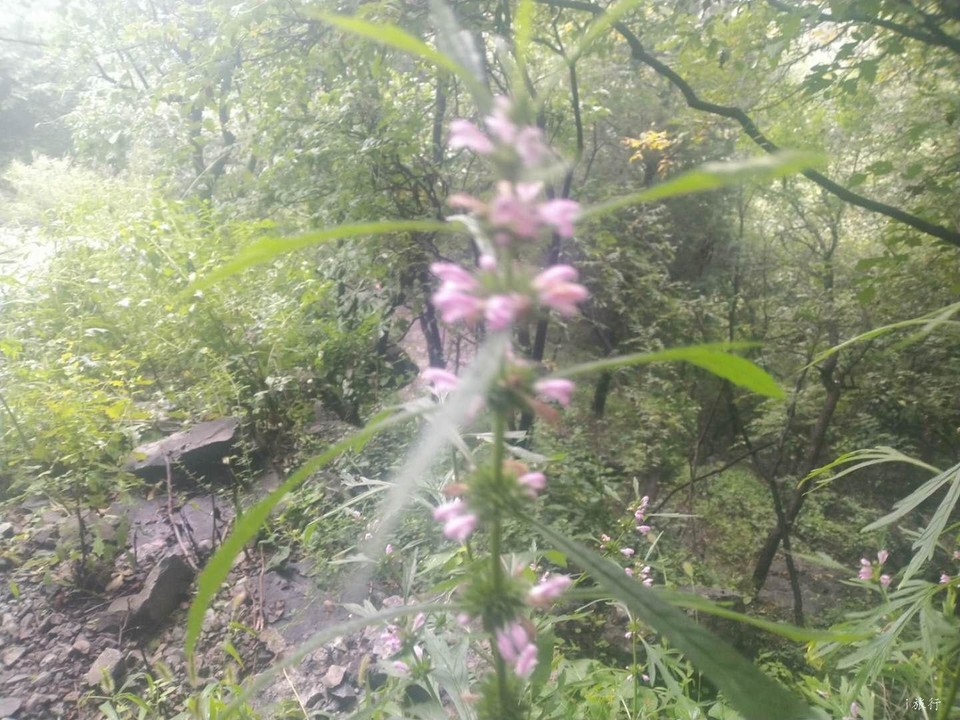 l2DCnRM_jySX1sLW1lT4e9uoHiR8Fr5HnZ5IS1Z9WUzLdInfSaALZ4tlMEfCv3LL