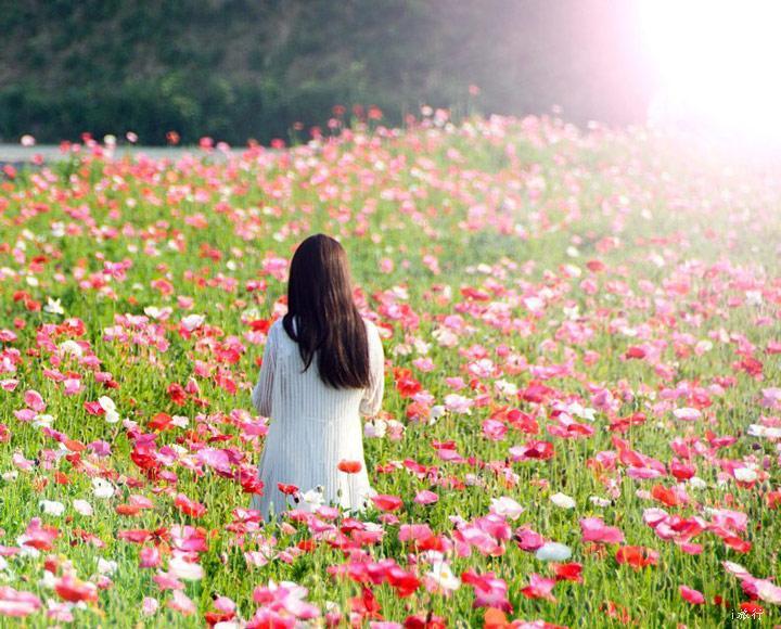 110bfa2b57cf06324f079f488f830b2f