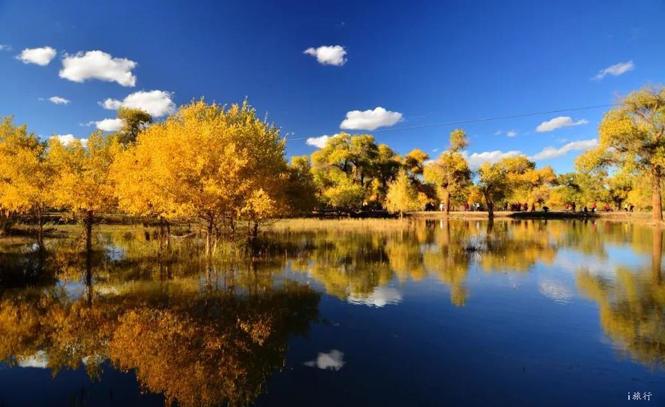 微信图片_20200826145227