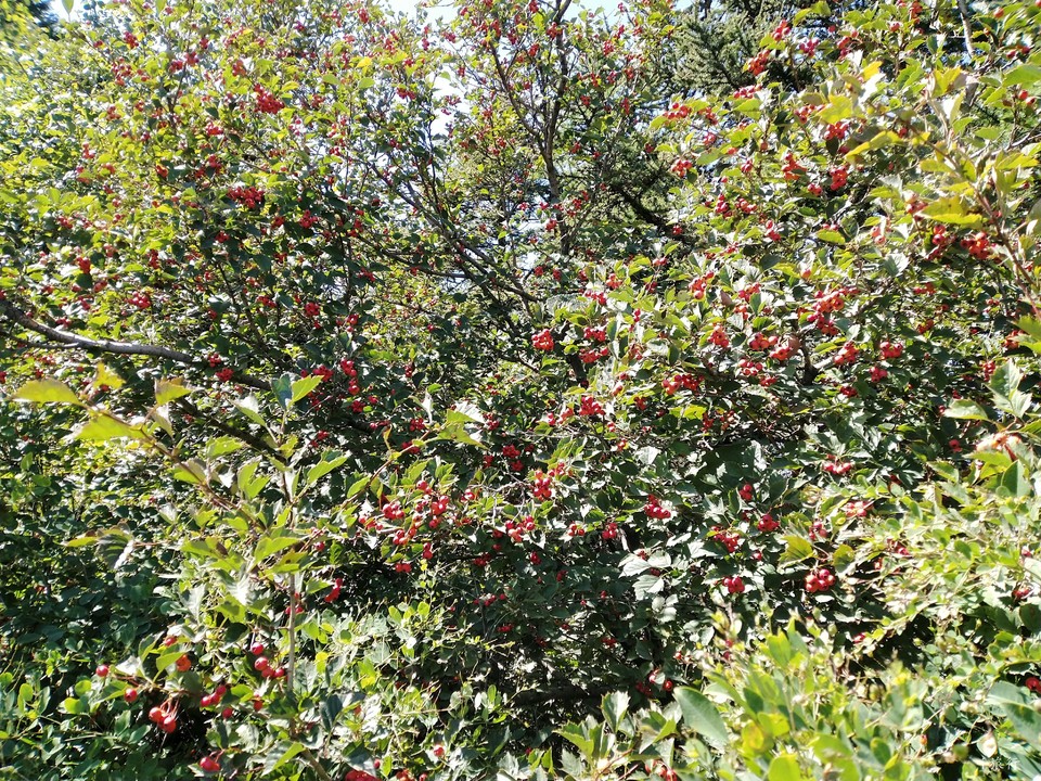 EIVXE-AyhFl5NJwINv6BbVZ3ReRbsOTCKcafkv9BX1MEiCBcM8LCmTcgeBQ3GOop