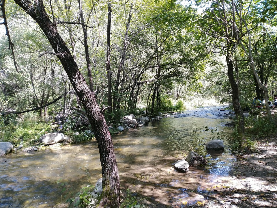 _Qd9gNOkYj-wa3IGY2Vfwk0XKxRP4juv2MAmtdCCF6nMd5Cf-Q53BKmfF6XnuFrU