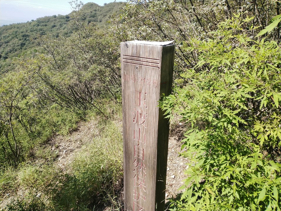 wz40fwQ1dnCPPUoHXKb2LuleKTUycInKfs7c4HLs2ygBy6wJ55_aZJZ1PfRpTO6c