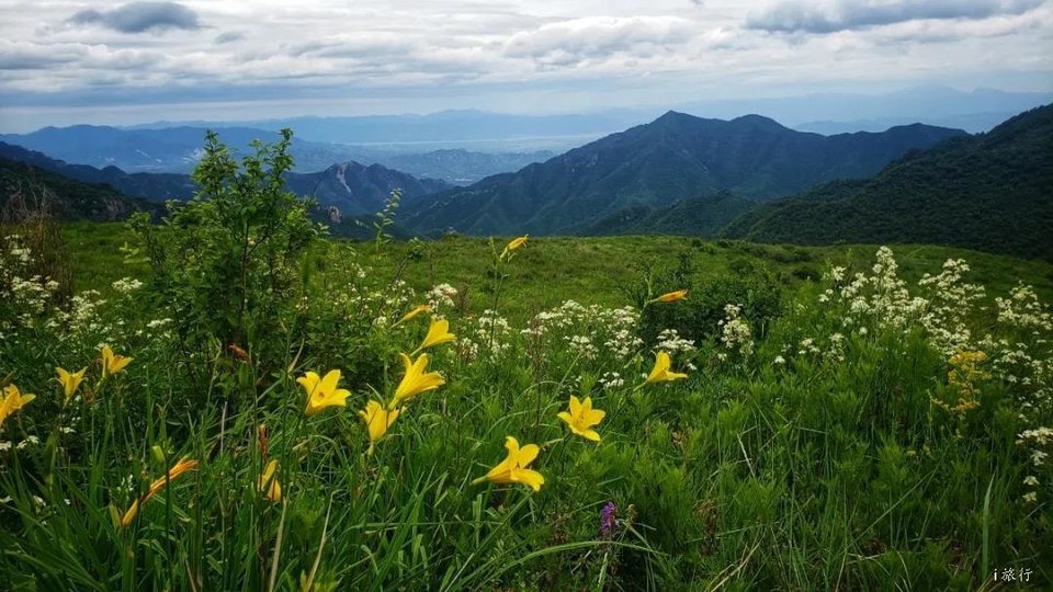 微信图片_20200813233840