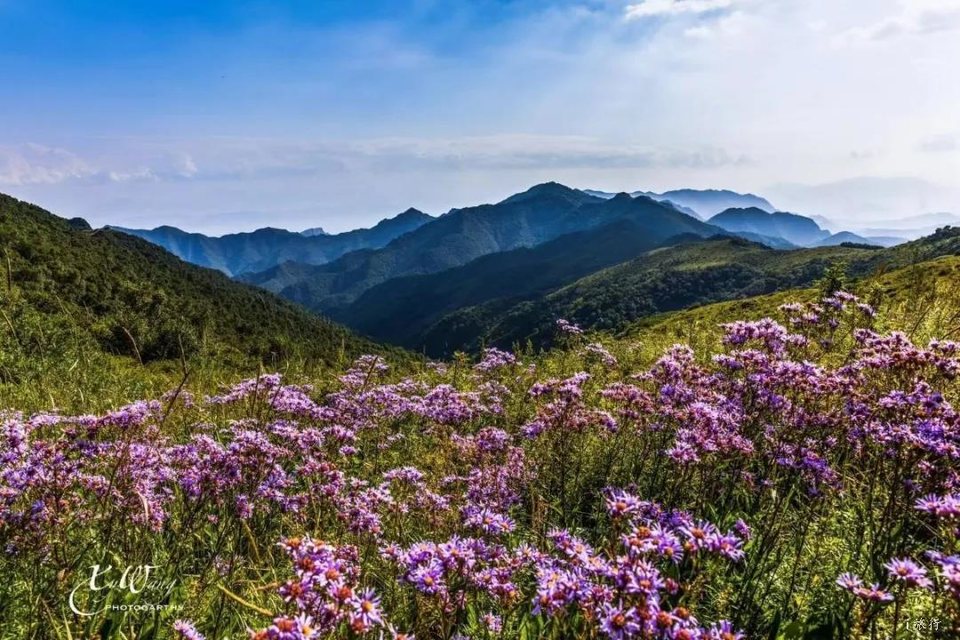 微信图片_20200813233851